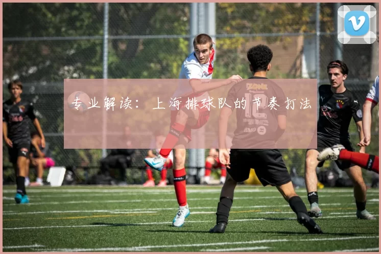 专业解读：上海排球队的节奏打法