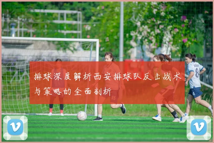 排球深度解析西安排球队反击战术与策略的全面剖析