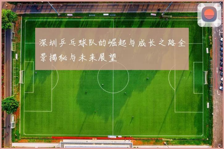 深圳乒乓球队的崛起与成长之路全景揭秘与未来展望
